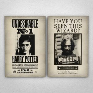 Cuadro de Harry Potter – Carteles