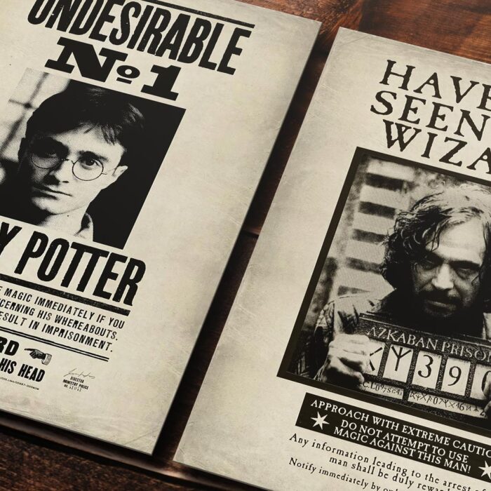 Cuadro de Harry Potter – Carteles