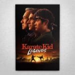 Cuadro de Karate Kid - Legends - 02