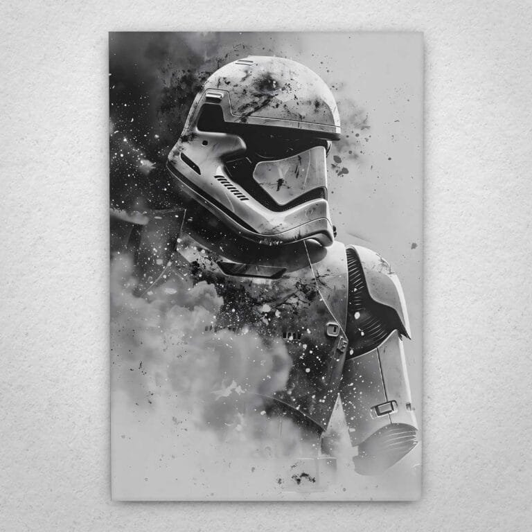 Cuadro de Star Wars - Stormtrooper - 03