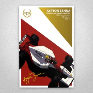 Cuadro de Ayrton Senna – 03