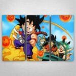 Cuadro de Dragon Ball - 03