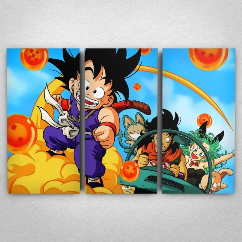 Cuadro de Dragon Ball – 03