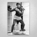 Cuadro de El Chapulin Colorado - 01