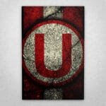 Cuadro de Universitario - 03