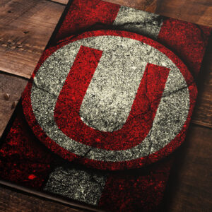 Cuadro de Universitario – 03