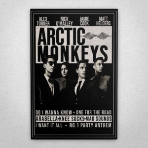 Cuadro de Arctic Monkeys – 01