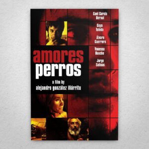 Cuadro de Amores Perros – 01