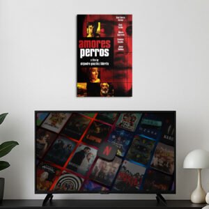 Cuadro de Amores Perros – 01