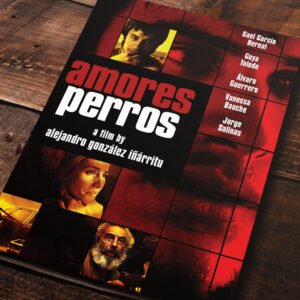 Cuadro de Amores Perros – 01