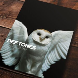 Cuadro de Deftones – Diamond Eyes – 01