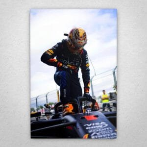 Cuadro de F1 Max Verstappen - 05