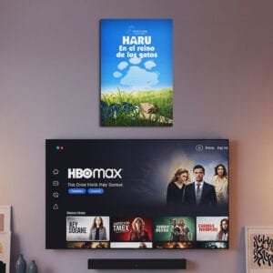 Cuadro de Haru en el Reino de los Gatos - 01