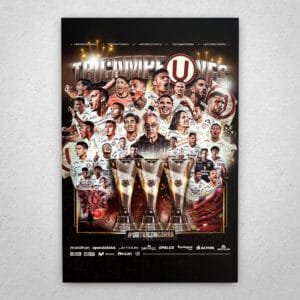 Cuadro de Universitario - 04