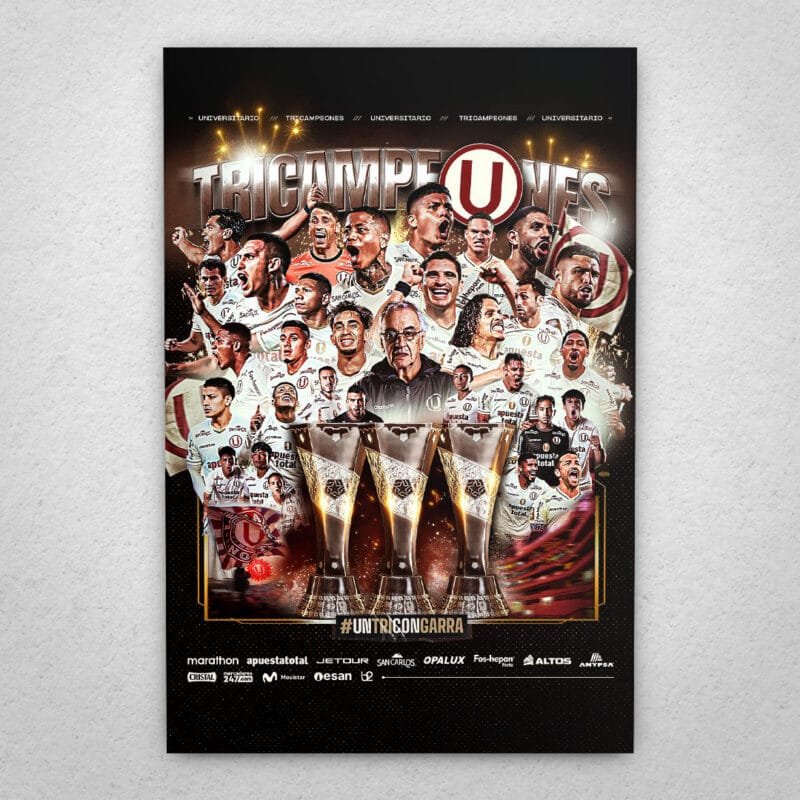 Cuadro de Universitario - 04