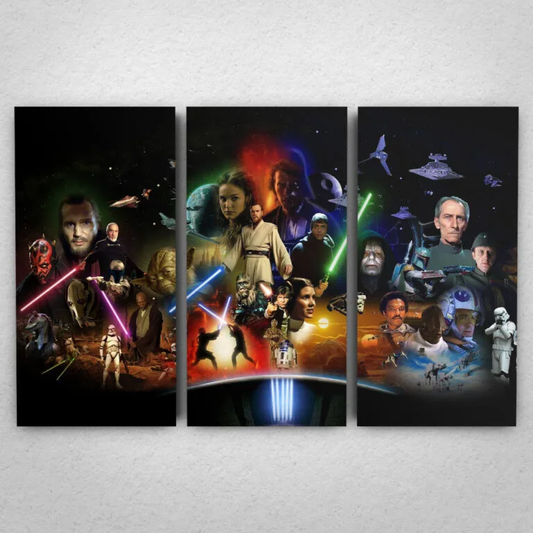 Cuadro de Star Wars - 06